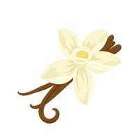 Vanilla 100% Whey Protein Isolate